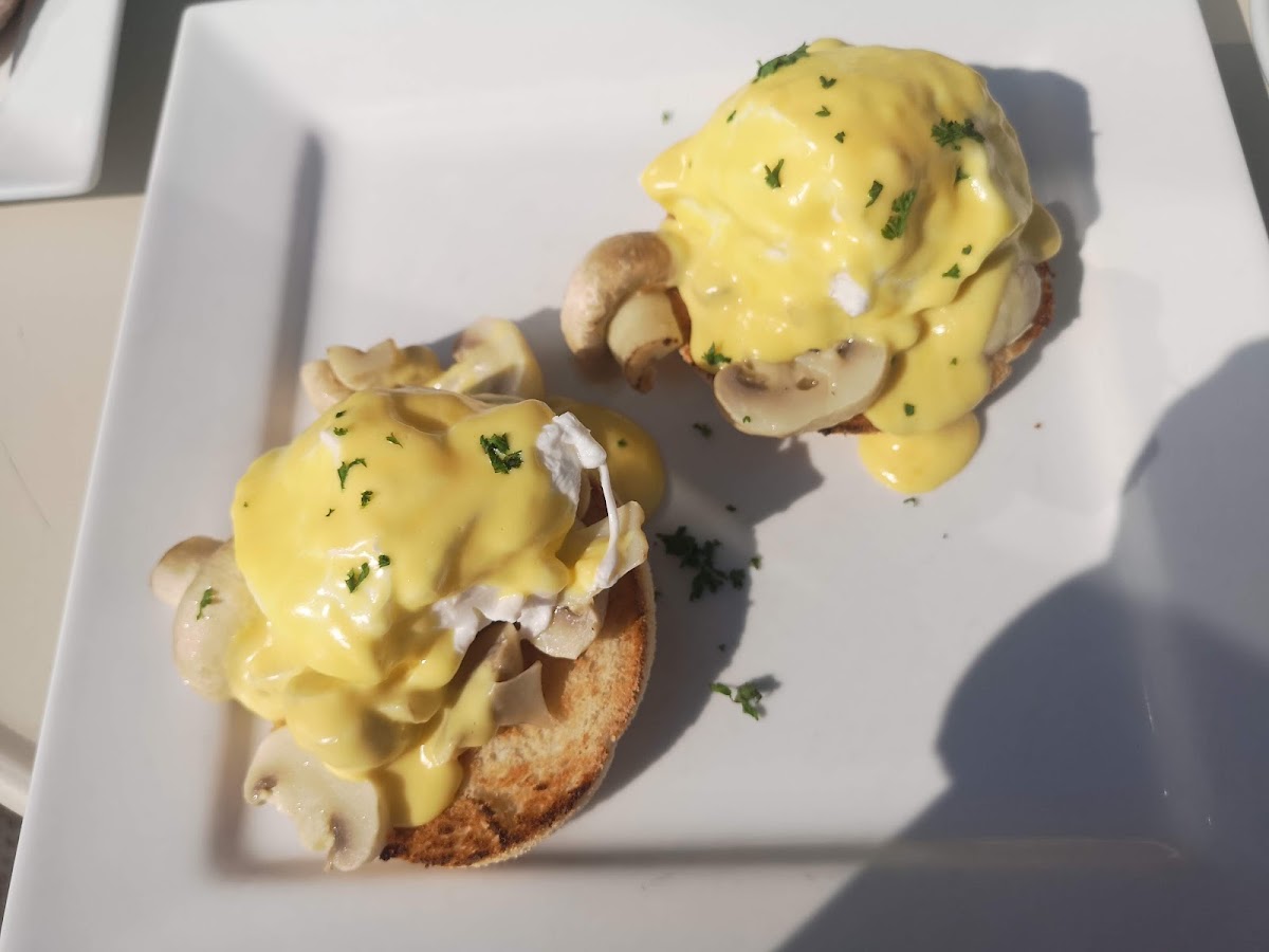 Moyra Janes Photos 2